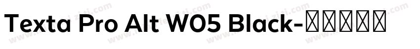 Texta Pro Alt W05 Black字体转换